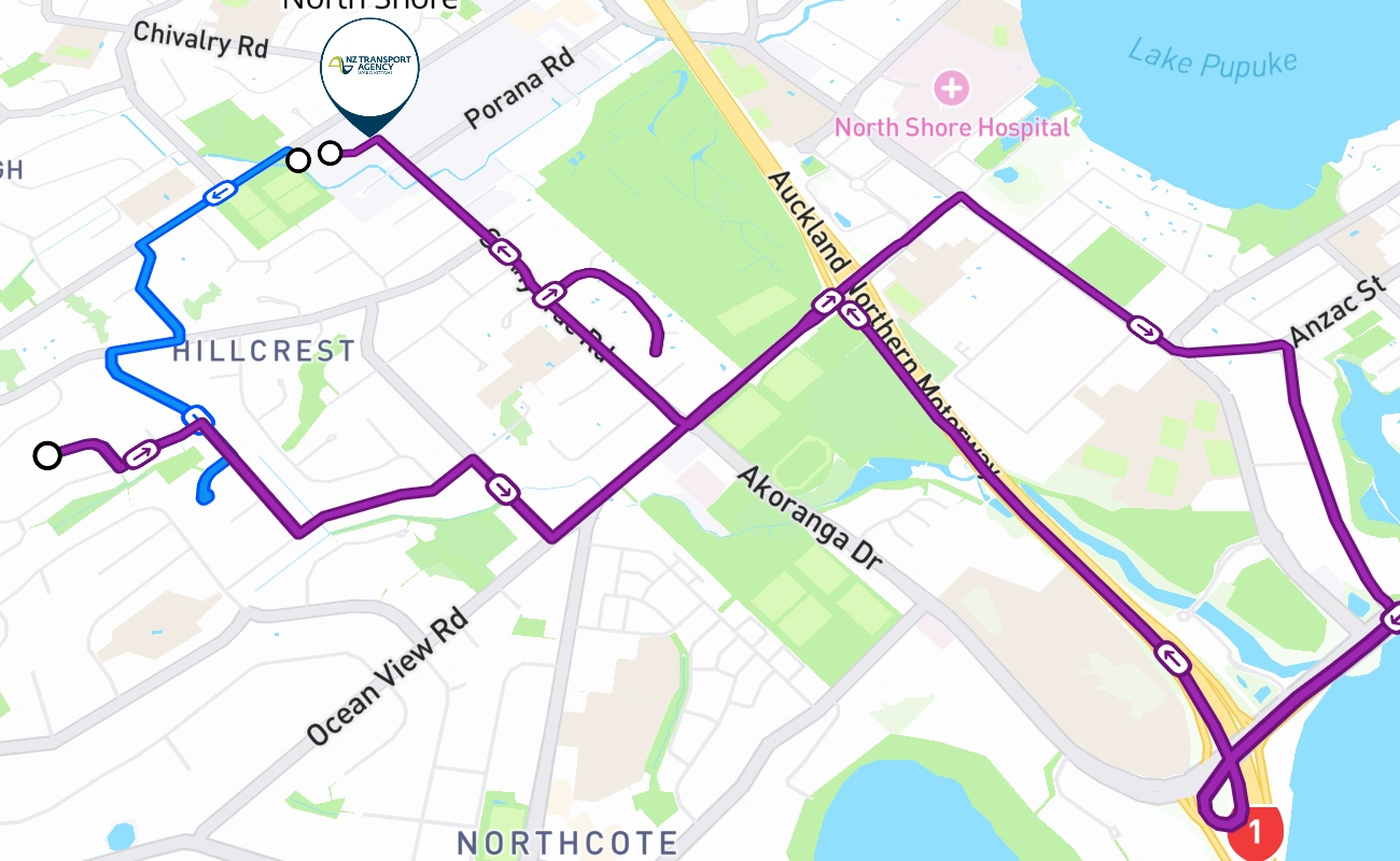 North Shore 驾考路线 #310 地图 - NTL 新西兰